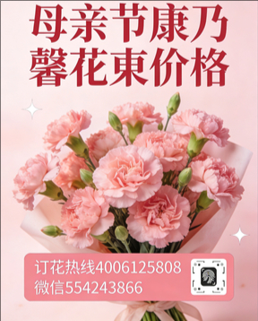 晋中榆社县花店母亲节康乃馨花束